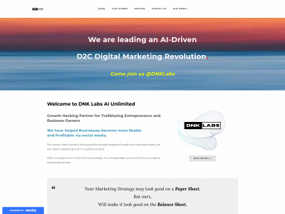 dnklabsunlimitedz.weebly.com snapshot