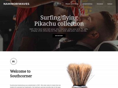 naminoriwave.weebly.com snapshot