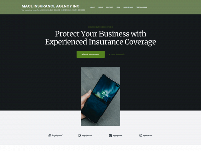 maceinsagency.com snapshot