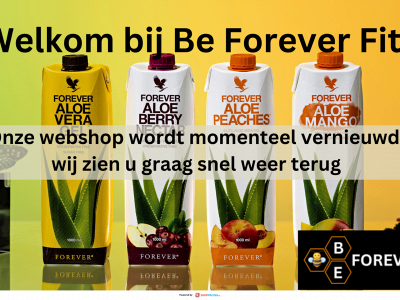 beforeverfit.nl snapshot