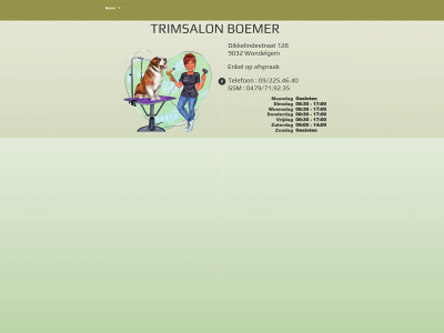 boemer-trimsalon.be snapshot