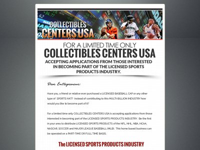 thesportsopportunity.com snapshot