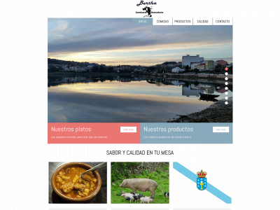 berthacarniceria.es snapshot