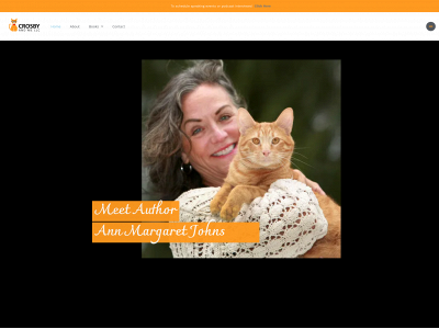 annmargaretjohns.com snapshot