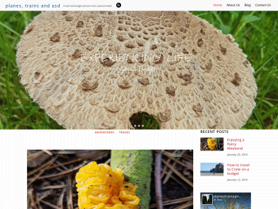 planestrainsandasd.com snapshot