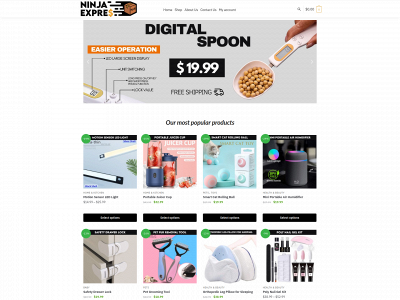 ninjaexpres.com snapshot