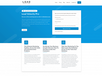 leadvelocitypro.com snapshot
