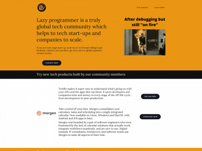 i-am-lazy-programmer.com snapshot