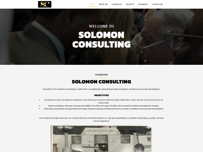 solomonconsultinggroup.com snapshot