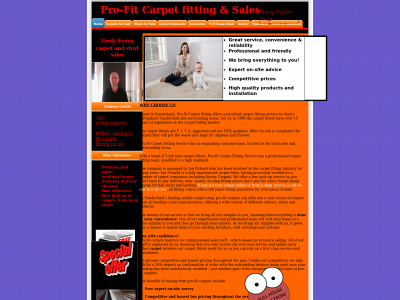 pro-fit-carpet-fitting.co.uk snapshot