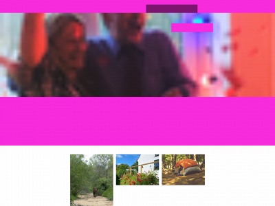 stikkel.dk snapshot