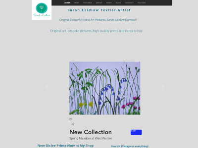 sarahlaidlaw.co.uk snapshot
