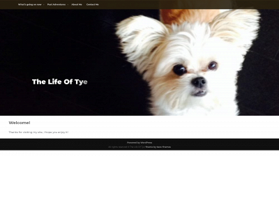 thelifeoftye.com snapshot