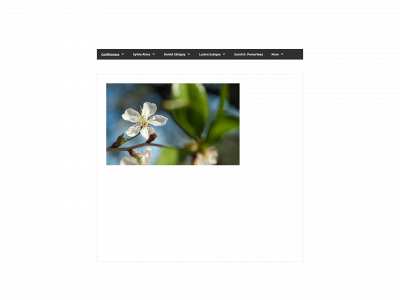 conferences-christiane.ch snapshot