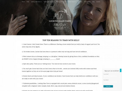 kellysigler.com snapshot