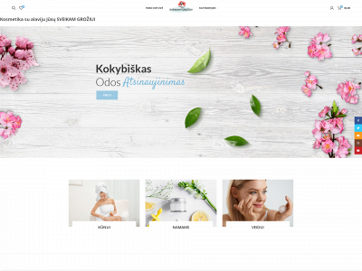 sveikamgroziui.lt snapshot