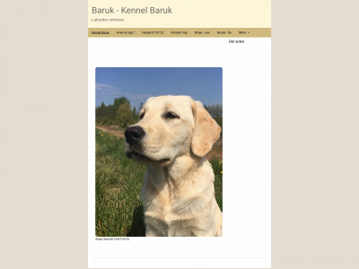 baruk.dk snapshot