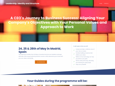 leadershipidentityandstructure.com snapshot