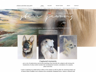 stevejevons.gallery snapshot
