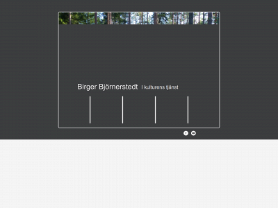 birgerbjornerstedt.se snapshot