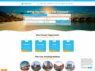 tripprecision.com snapshot