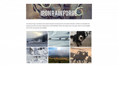 www.ironrain.us snapshot