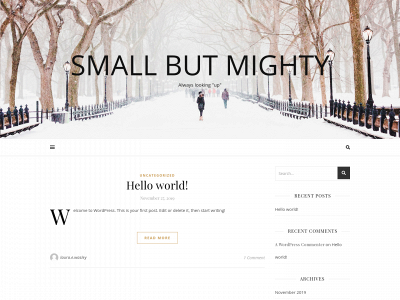 smallbutmighty.com snapshot