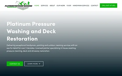 platinumwashing.com snapshot