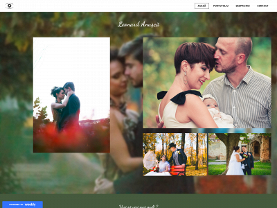 lyostudio.weebly.com snapshot
