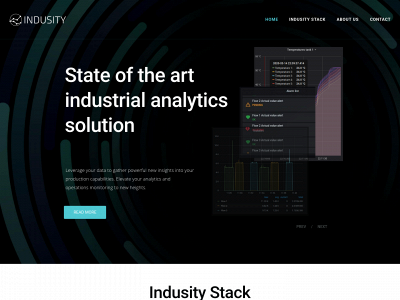 indusity.io snapshot