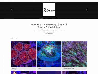 thecoralstation.com snapshot
