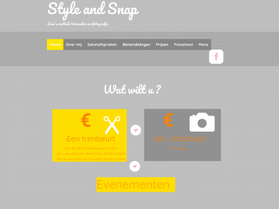 styleandsnap.nl snapshot