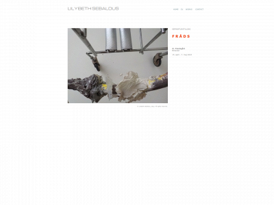 sebaldus.dk snapshot