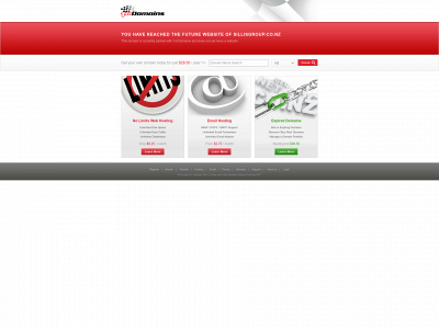 sillisgroup.co.nz snapshot
