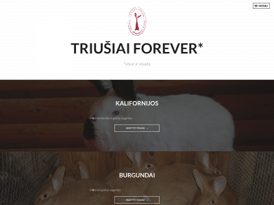 triusiai.lt snapshot
