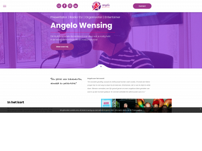 angelowensing.nl snapshot