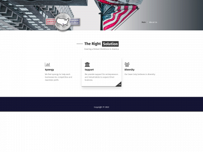 americasolution.com snapshot