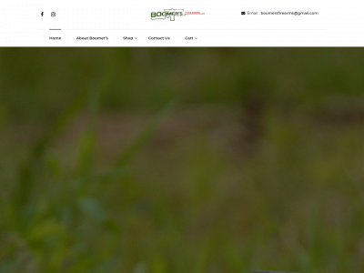boomersfirearms.com snapshot