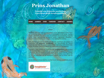 prinsjonathan.be snapshot
