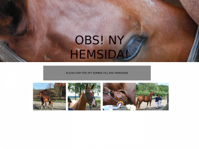 stallmiccis.se snapshot