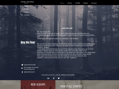 tasselrecords.com snapshot