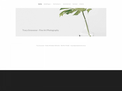 www.tracygrosvenor.com snapshot