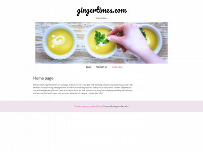 gingertimes.com snapshot