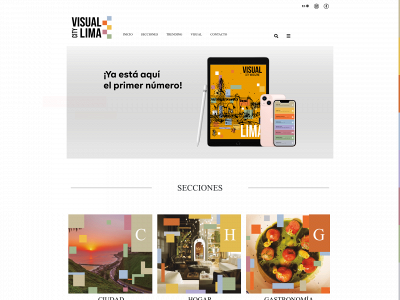 visualcity.pe snapshot