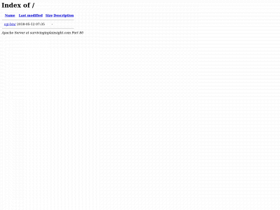 survivinginplainsight.com snapshot