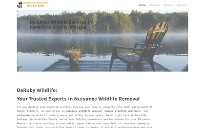 site-ffeccabc85c0.mypreview.site snapshot