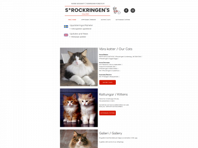 rockringen.se snapshot