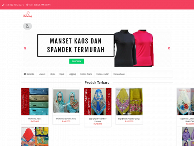 emdishop.com snapshot