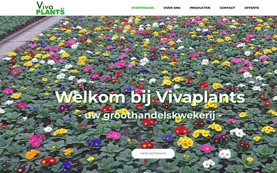 vivaplants.be snapshot