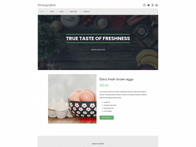 vincarolin.dk snapshot